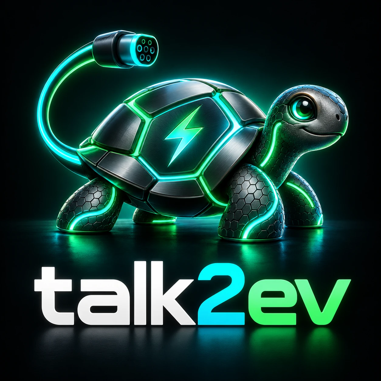 talk2ev — טעינה חכמה עם Turtle67